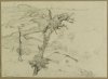 1913 - Paesaggio con case sullo sfondo